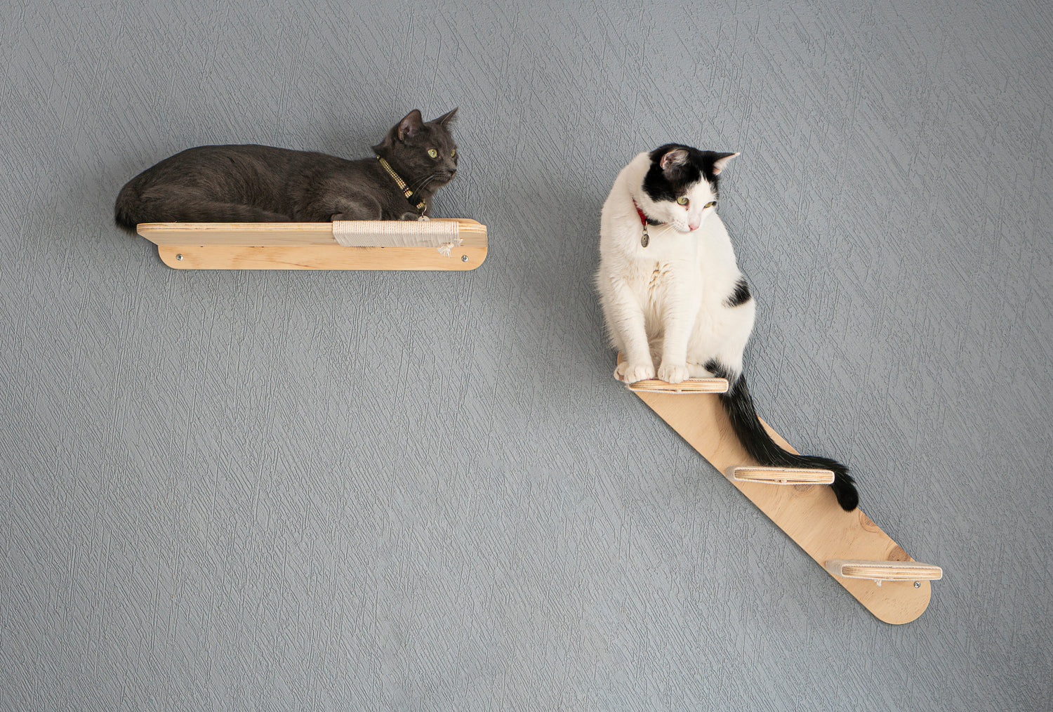 repisa de madera para gatos y escalera de madera para gatos