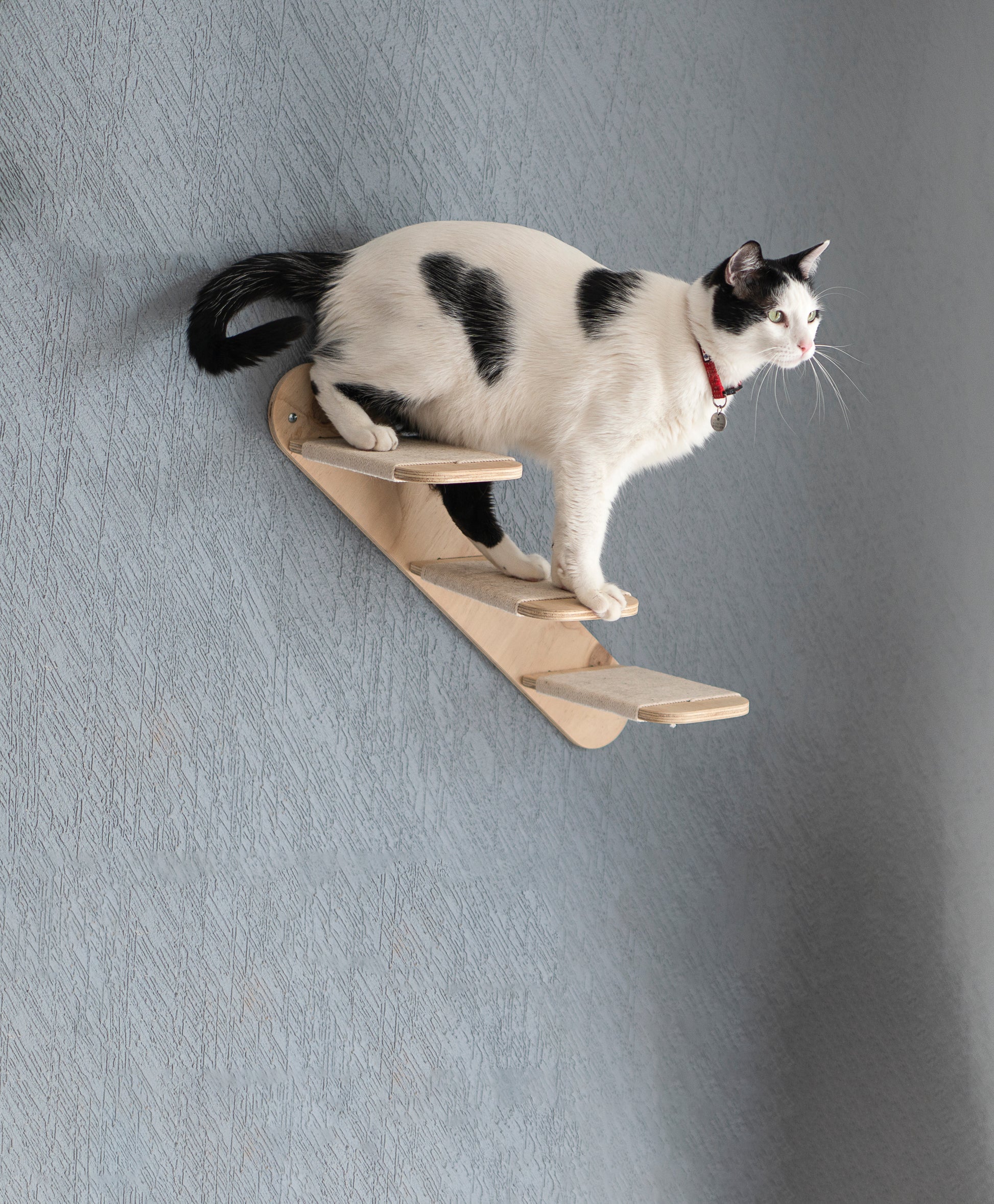 Escalera de madera para gatos – aguapiedra estudio